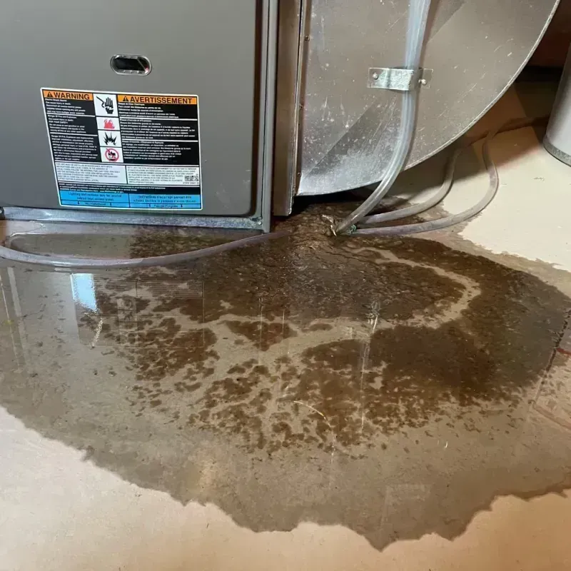 Appliance Leak Cleanup in Cimarron Hills, CO